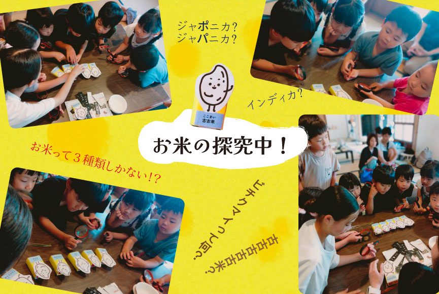 お米の探究中!