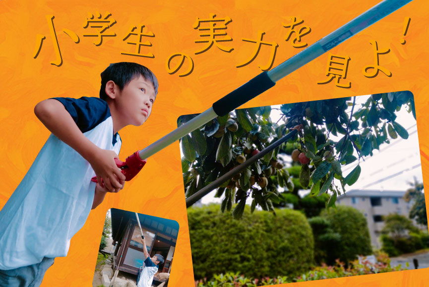 小学生の実力を見よ！