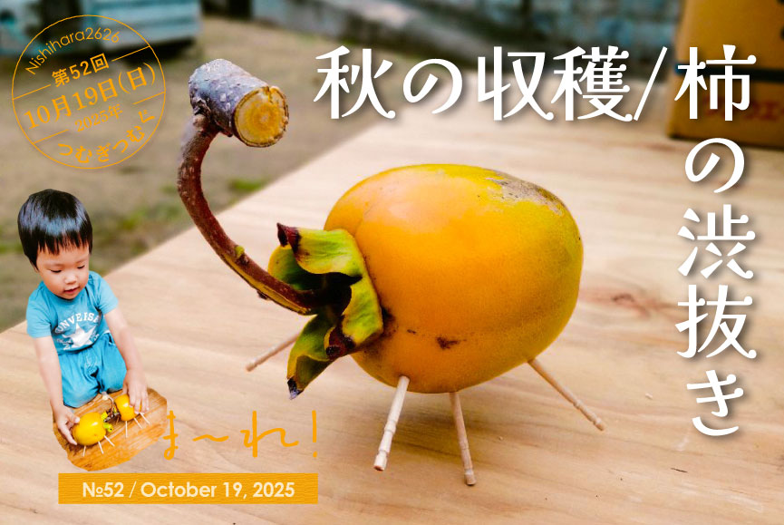 秋の収穫／柿の渋抜き