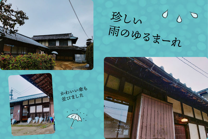 珍しい雨のゆるまーれ