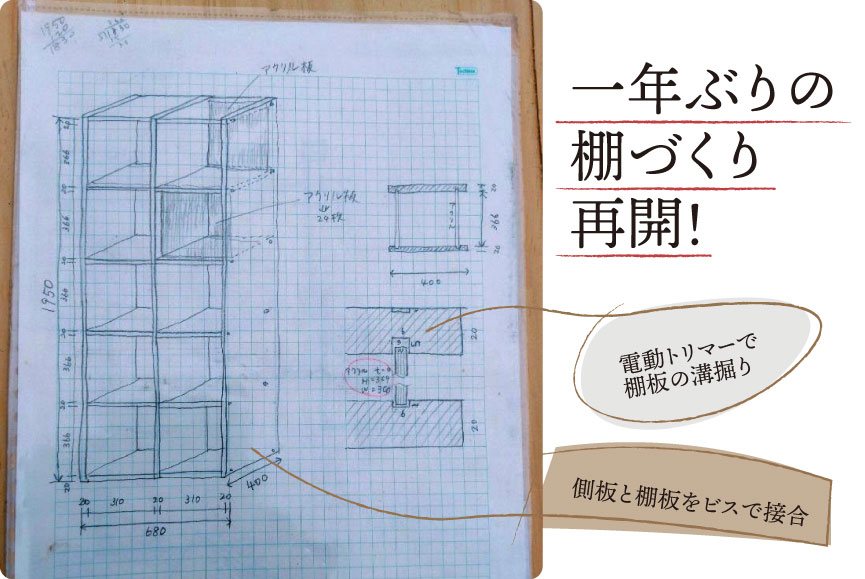 一年ぶりの棚づくり再開！